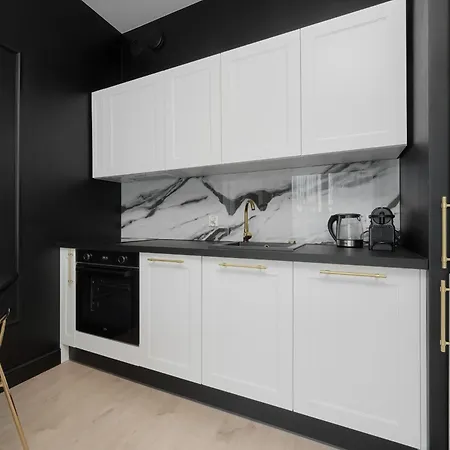 Appartement New Studio Nyska With Free Garage By Renters *